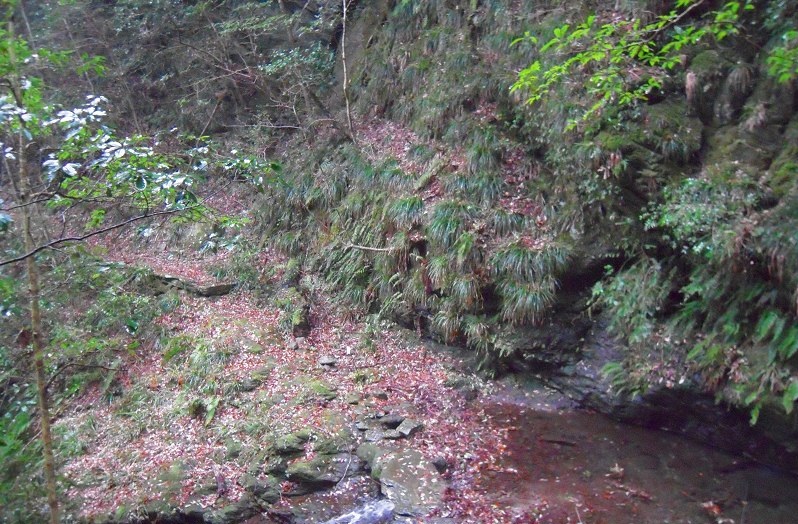 f:id:boianuf:20131220085730j:image f:id:boianuf:20131220085730j:image