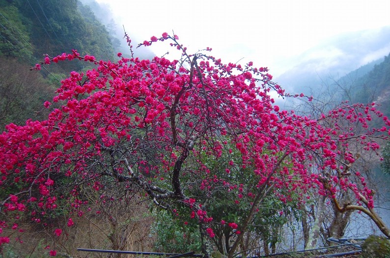 f:id:boianuf:20131220091230j:image