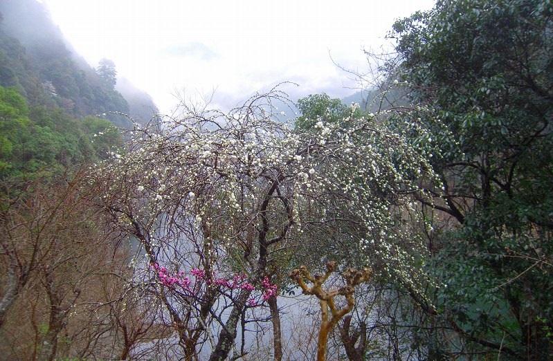 f:id:boianuf:20131220091652j:image