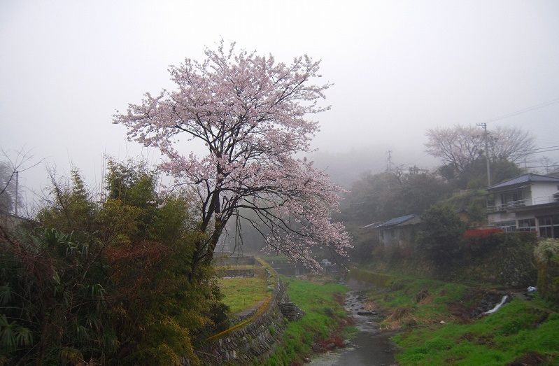 f:id:boianuf:20131220093233j:image