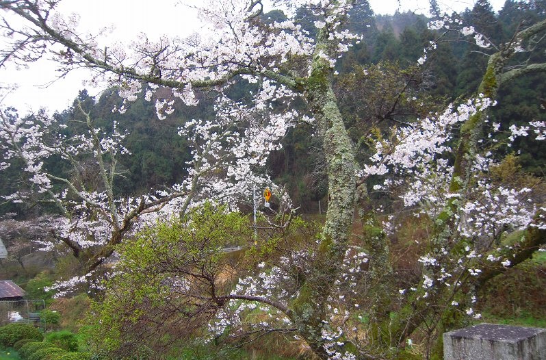 f:id:boianuf:20131220095044j:image