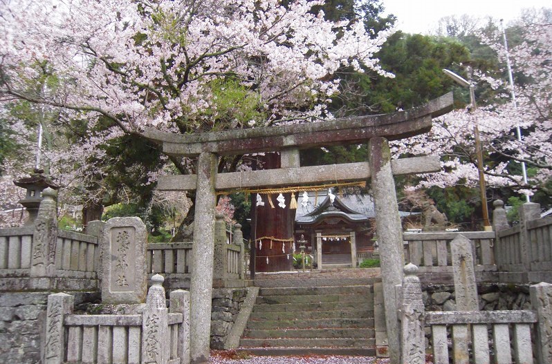 f:id:boianuf:20131222162336j:image