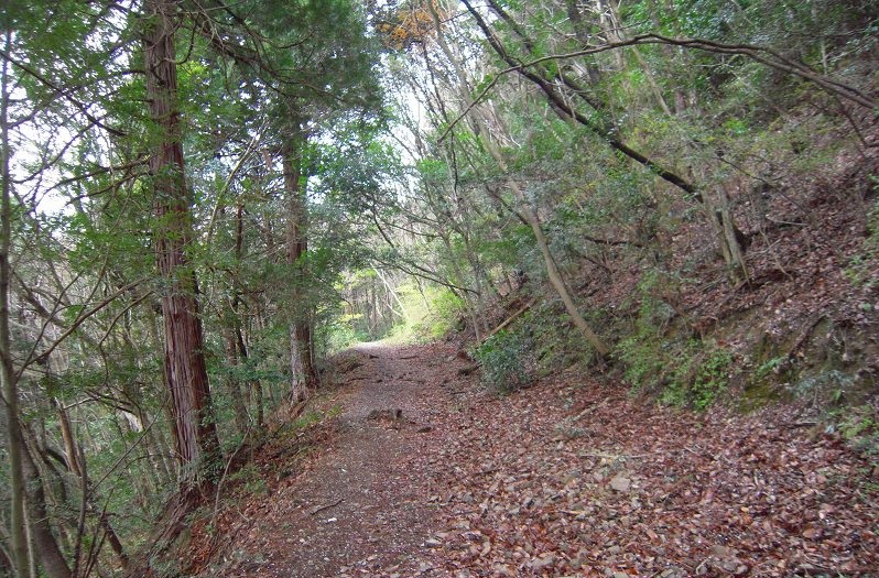 f:id:boianuf:20131222165123j:image