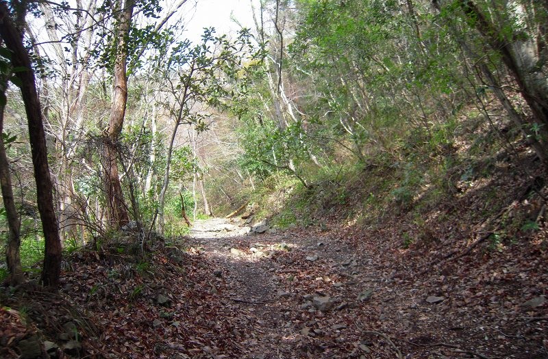 f:id:boianuf:20131222165124j:image
