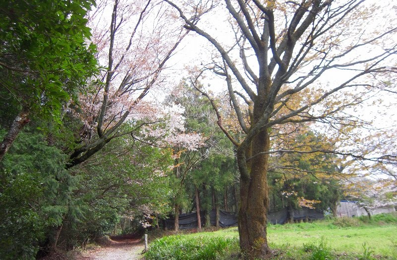f:id:boianuf:20131222165127j:image