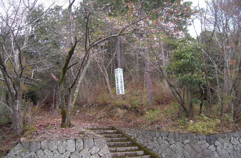 f:id:boianuf:20131222165129j:image