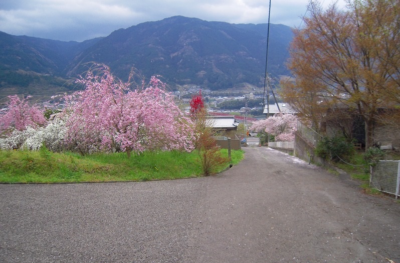 f:id:boianuf:20131222171614j:image