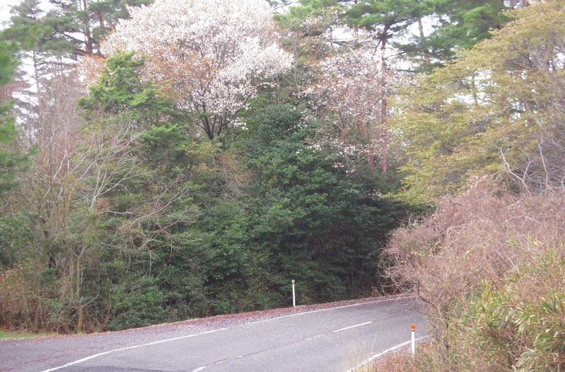 f:id:boianuf:20131230171810j:image