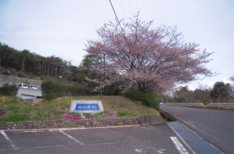 f:id:boianuf:20131231162823j:image