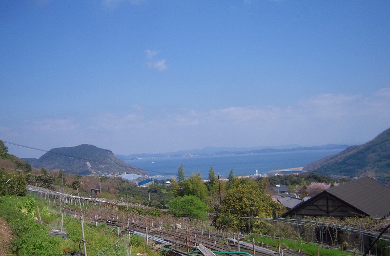 f:id:boianuf:20140103170639j:image