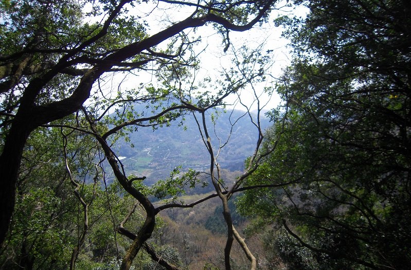 f:id:boianuf:20140103170648j:image