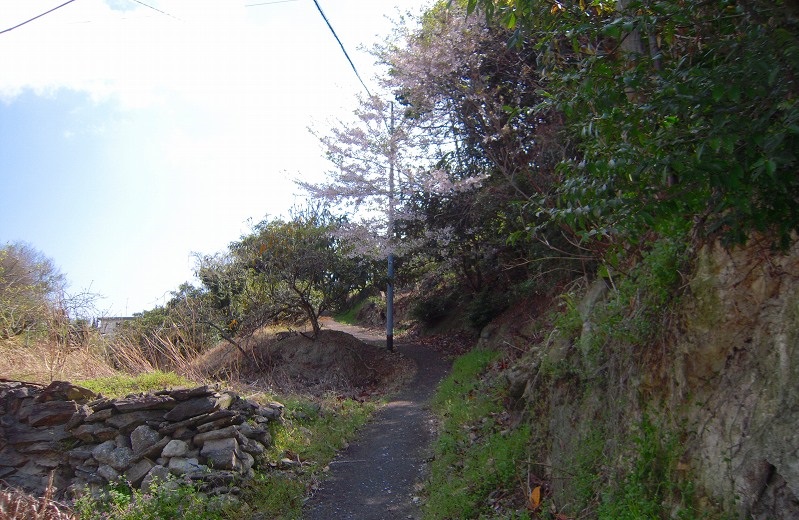 f:id:boianuf:20140103171258j:image