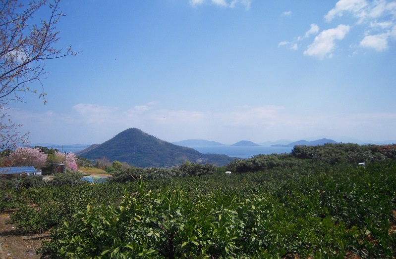 f:id:boianuf:20140103171308j:image