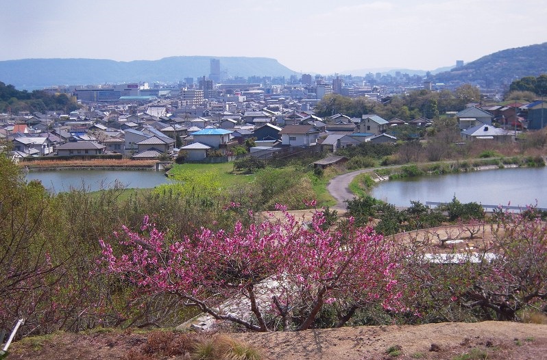 f:id:boianuf:20140103171706j:image