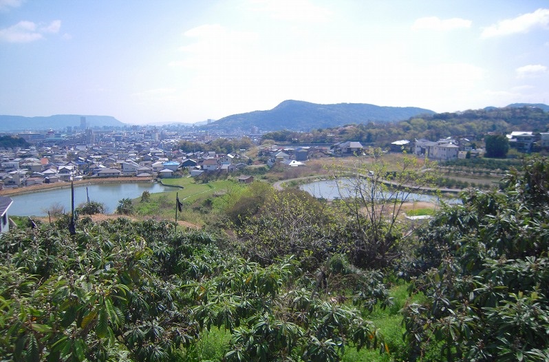 f:id:boianuf:20140103171708j:image