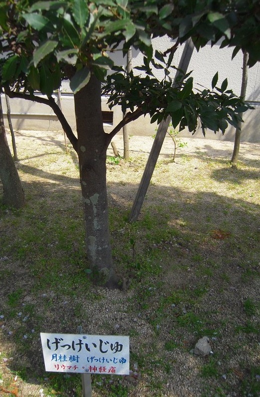 f:id:boianuf:20140105131945j:image
