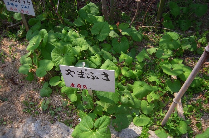 f:id:boianuf:20140105155024j:image