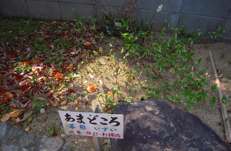 f:id:boianuf:20140105155027j:image