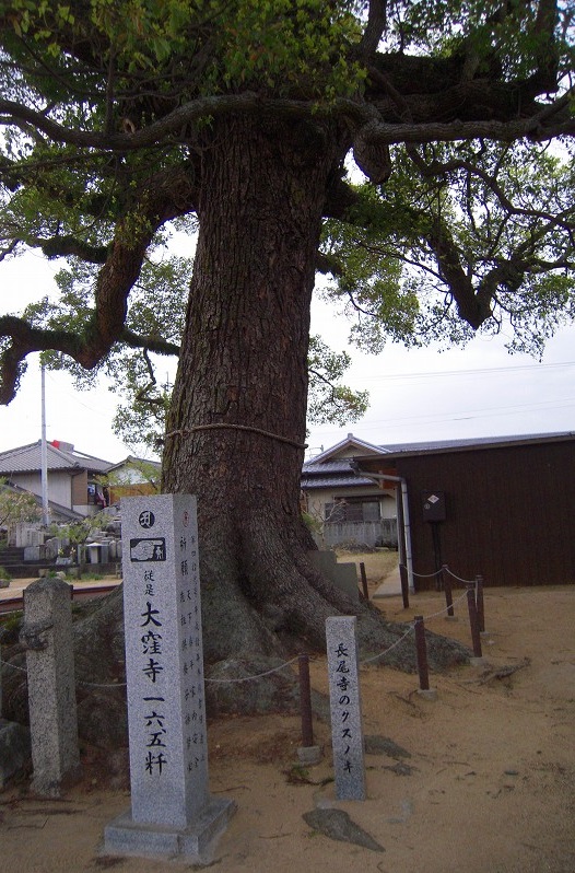 f:id:boianuf:20140108110535j:image