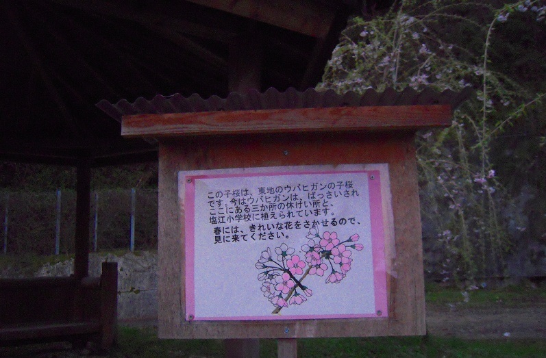 f:id:boianuf:20140111163815j:image