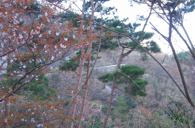 f:id:boianuf:20140111164216j:image