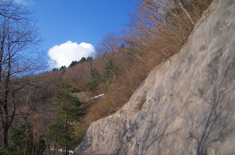 f:id:boianuf:20140111164558j:image