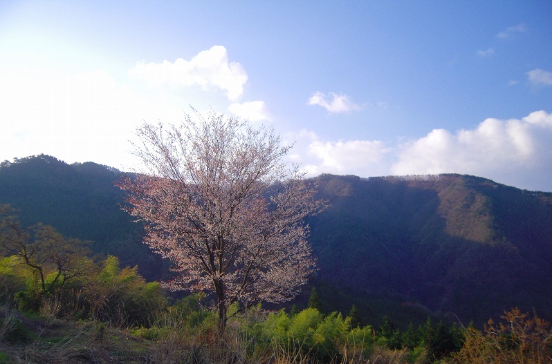 f:id:boianuf:20140111164601j:image