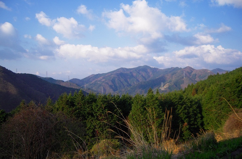 f:id:boianuf:20140111164603j:image