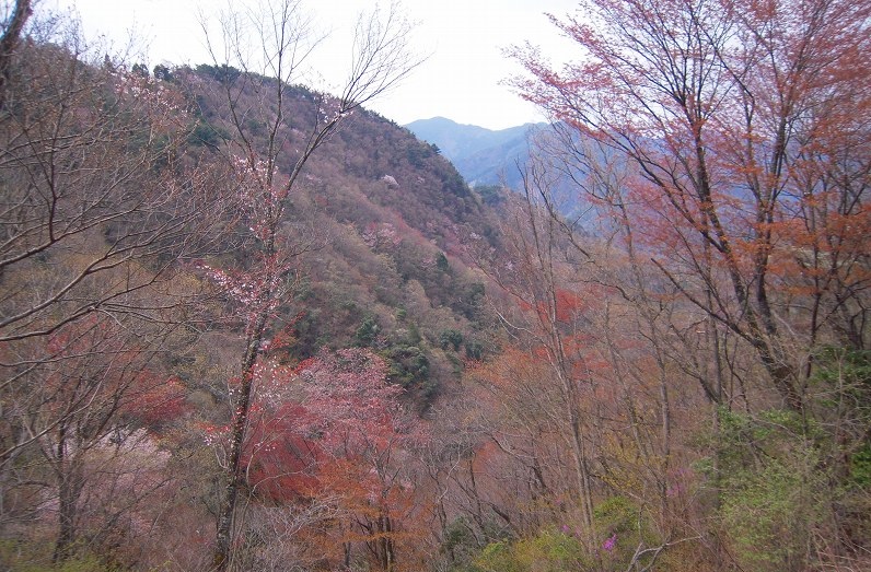 f:id:boianuf:20140111171707j:image