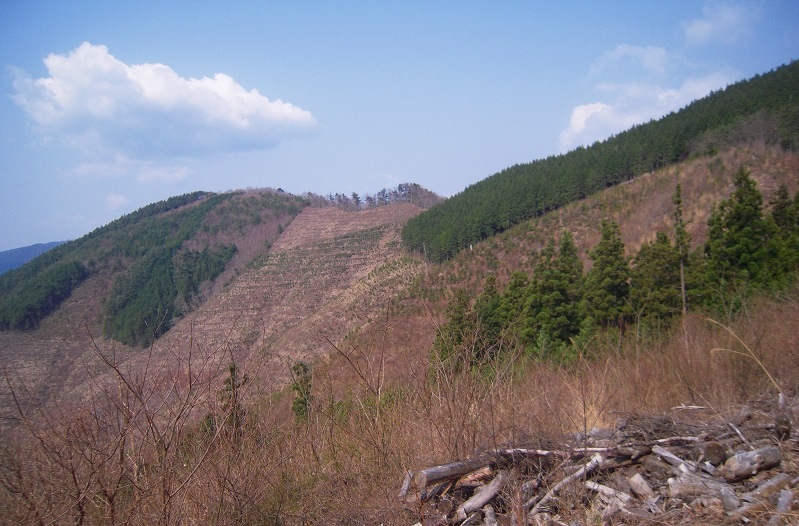 f:id:boianuf:20140111171713j:image