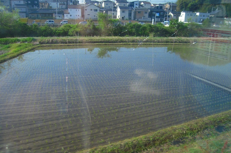 f:id:boianuf:20140112093142j:image