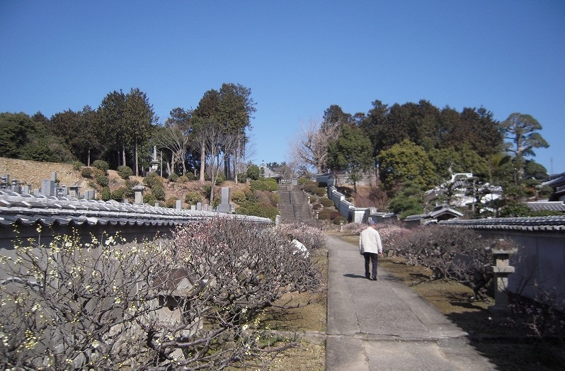 f:id:boianuf:20140114085526j:image