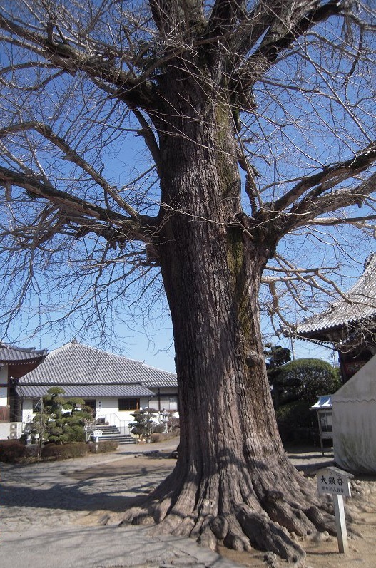 f:id:boianuf:20140114085530j:image