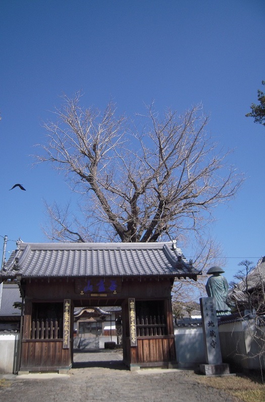 f:id:boianuf:20140114085531j:image