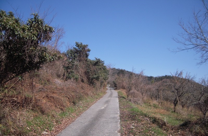 f:id:boianuf:20140114091333j:image