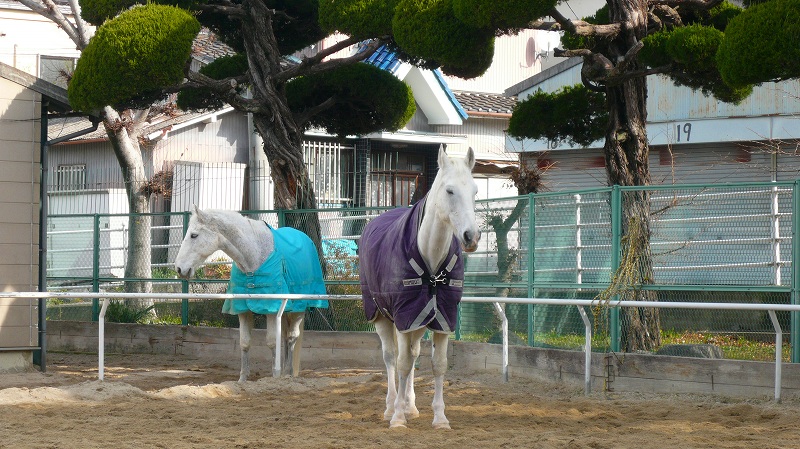 f:id:boianuf:20140125154826j:image