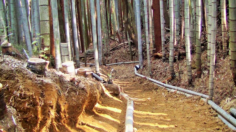 f:id:boianuf:20140217145114j:image f:id:boianuf:20140217145114j:image