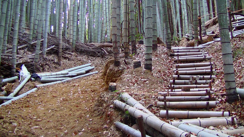 f:id:boianuf:20140217151001j:image f:id:boianuf:20140217151001j:image