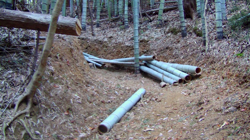 f:id:boianuf:20140217151003j:image f:id:boianuf:20140217151003j:image