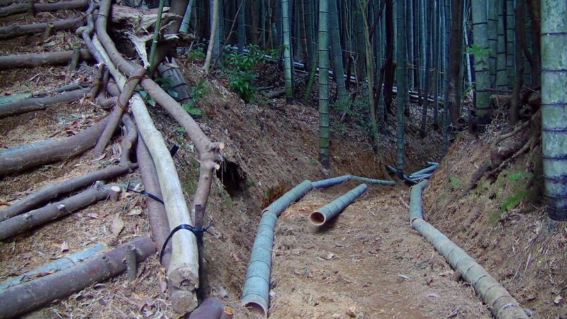 f:id:boianuf:20140217151004j:image f:id:boianuf:20140217151004j:image