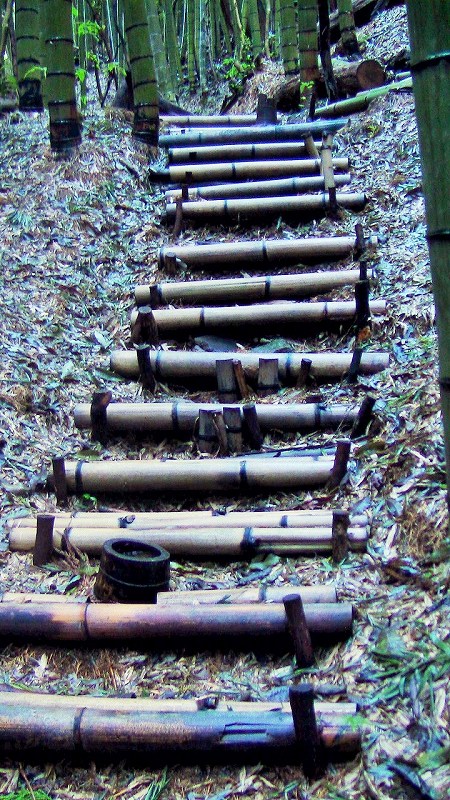 f:id:boianuf:20140217165626j:image f:id:boianuf:20140217165626j:image