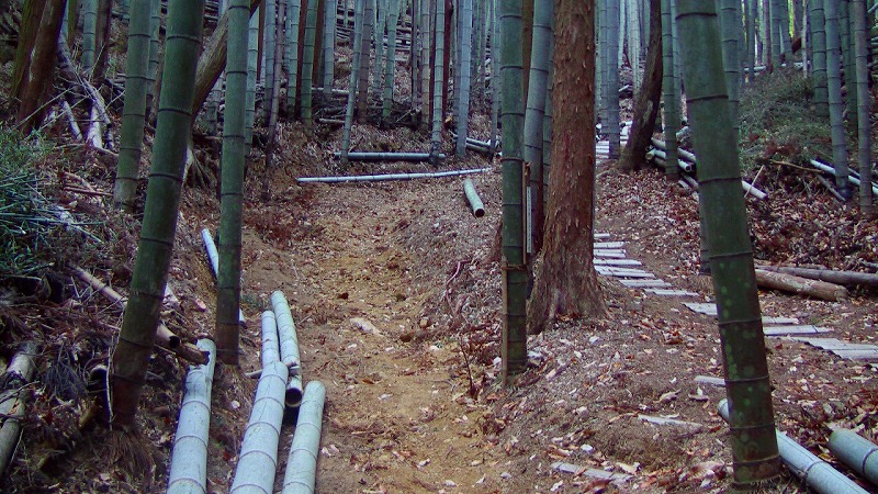 f:id:boianuf:20140217165627j:image f:id:boianuf:20140217165627j:image