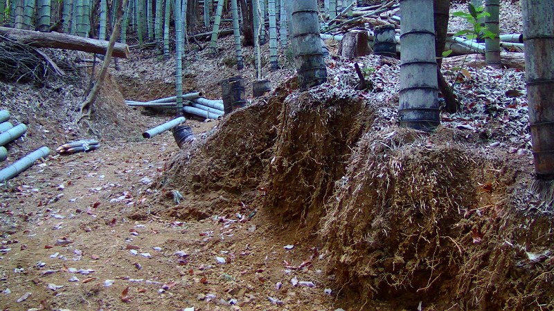 f:id:boianuf:20140217165628j:image f:id:boianuf:20140217165628j:image