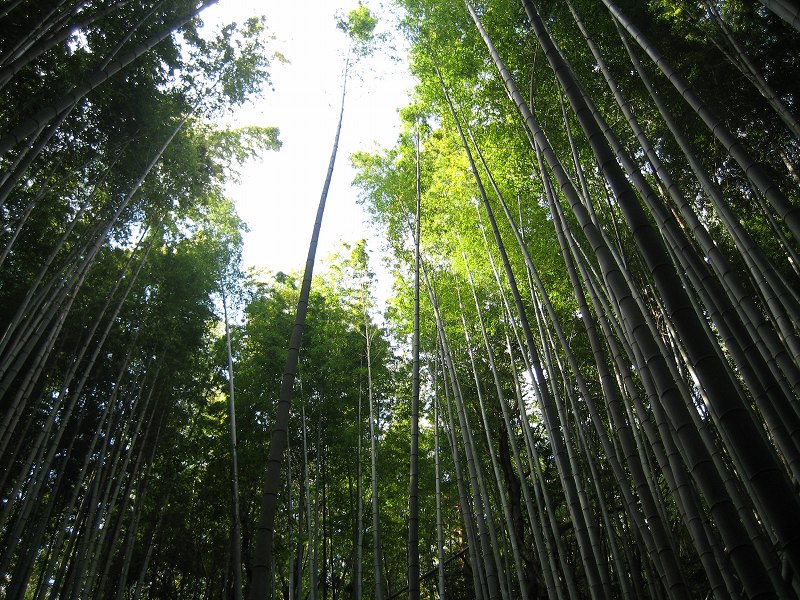 f:id:boianuf:20140218085240j:image f:id:boianuf:20140218085240j:image