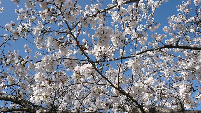 f:id:boianuf:20140331095551j:image