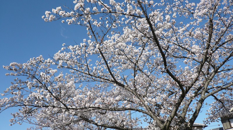 f:id:boianuf:20140331095553j:image