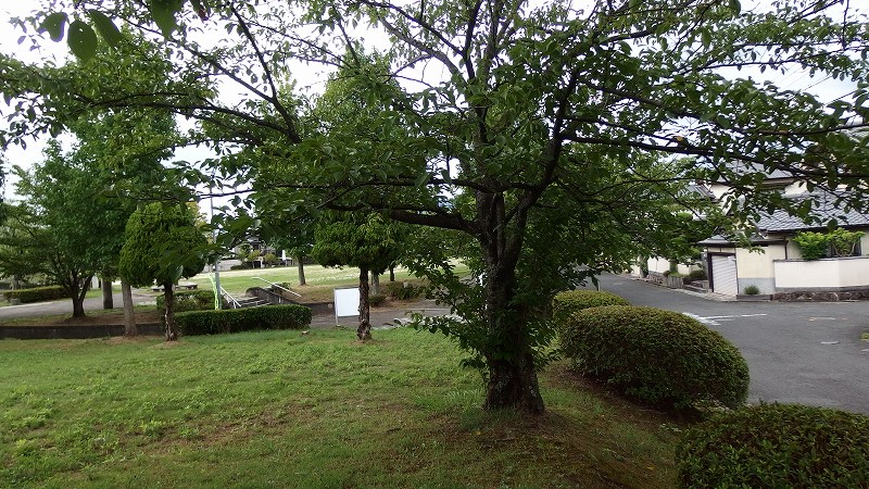 f:id:boianuf:20140806145634j:image