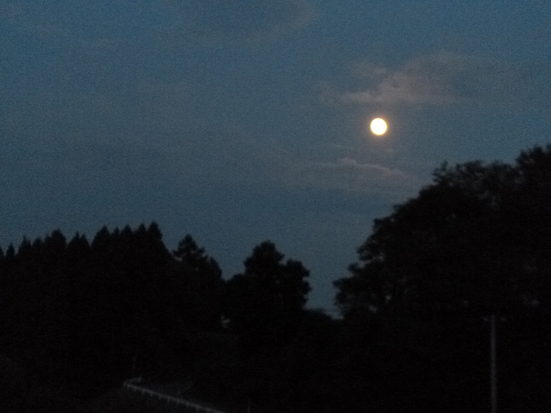 f:id:boianuf:20140910103900j:image