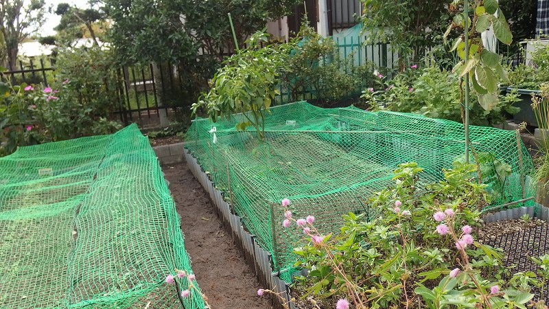f:id:boianuf:20140926153743j:image