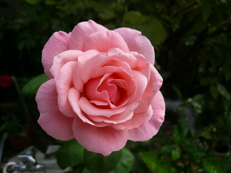 f:id:boianuf:20141013141116j:image